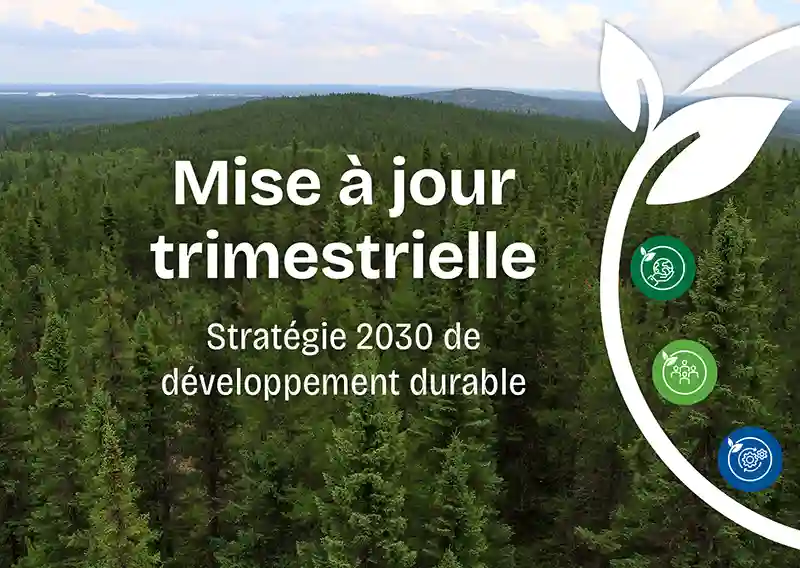 Domtar fait le point sur sa stratégie durable 2030
