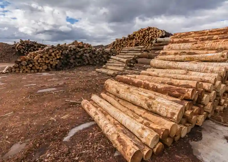 Produits du bois : Québec s’allie à la Finlande