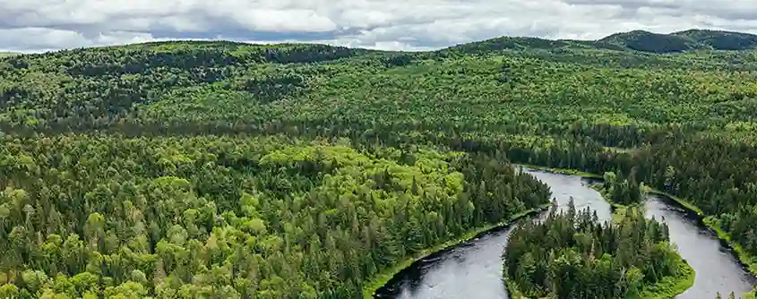 Le secteur forestier, pilier économique du Nouveau-Brunswick