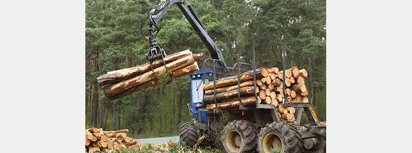 La fibre du N.-B. perd un acheteur clé au Maine
