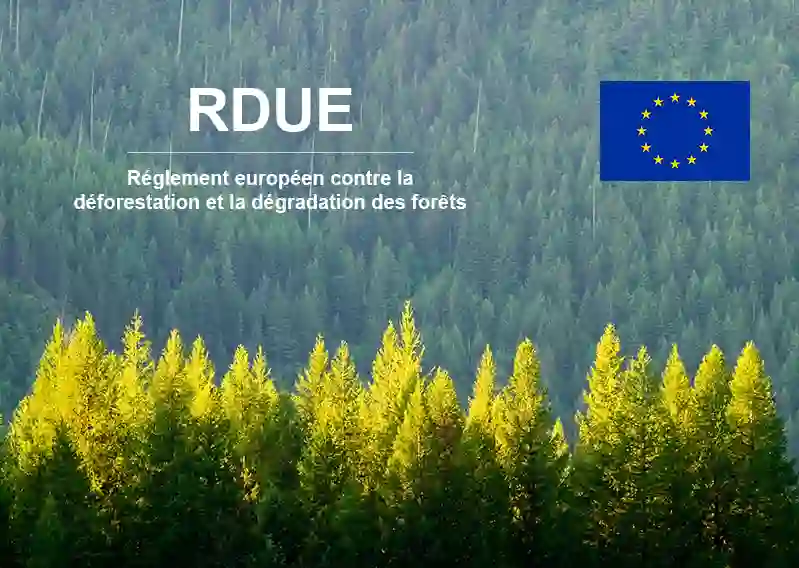 RDUE : industries papetières et forestières inquiètes