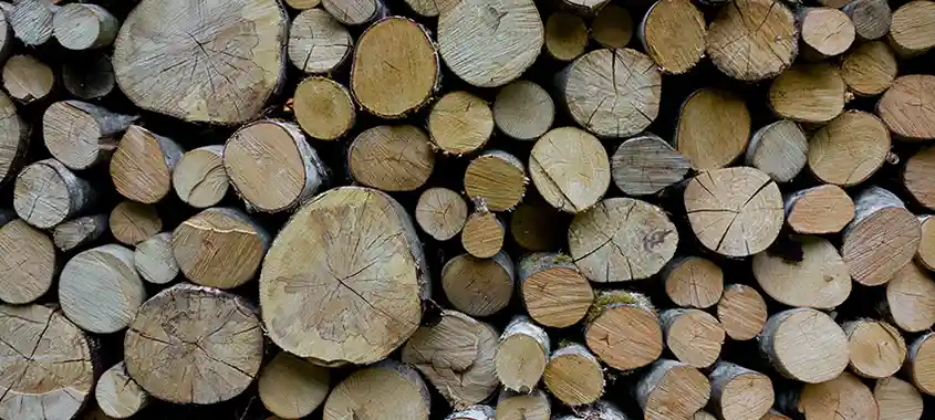 Le conflit sur le bois d’œuvre entre le Canada et les États-Unis