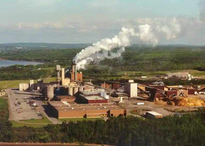 Northern Pulp : la Nouvelle-Écosse examine ses options