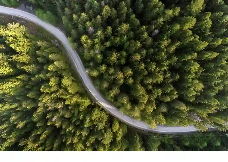 Vue aérienne d’une forêt canadienne traversée par un chemin forestier