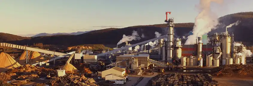 Usine de pâte à papier Fibre Excellence avec stockage de bois et installations industrielles en France