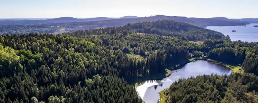 Stora Enso prépare la scission avec un nouveau CA