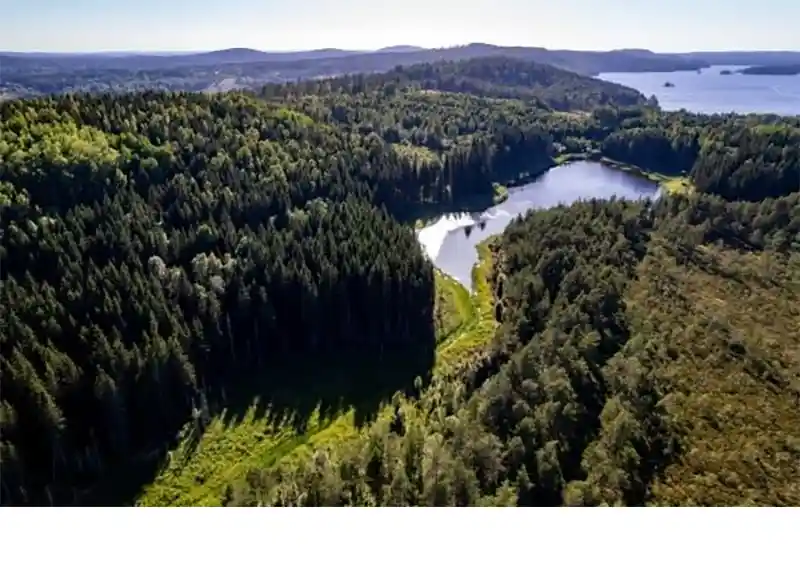 Stora Enso prépare la scission avec un nouveau CA