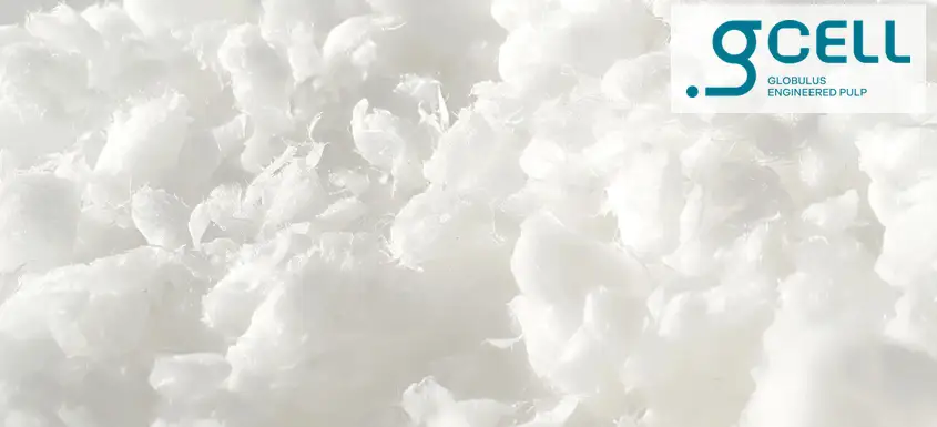 gCELL, la nouvelle marque de The Navigator Company pour ses activités de pâte d’eucalyptus