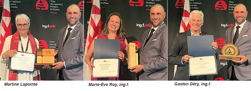 L’OIFQ honore trois figures marquantes de la foresterie