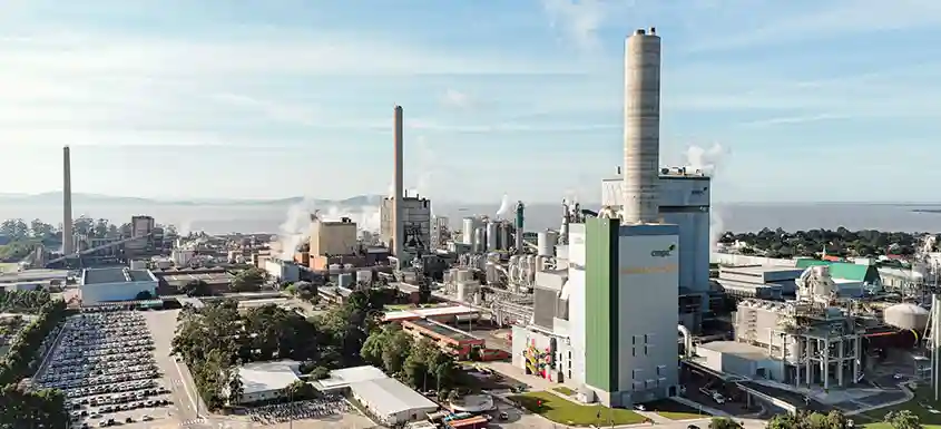 Le projet Natureza au Brésil